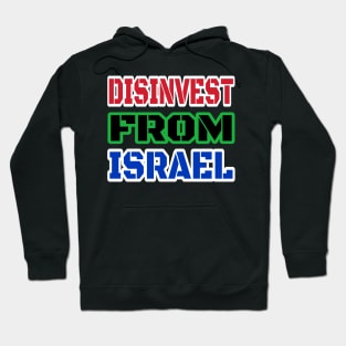 DISINVEST FROM ISRAEL - Front Hoodie